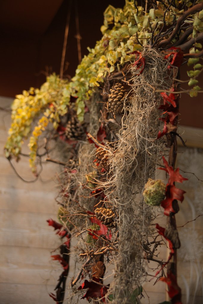 Un doux parfum d'automne photo 5